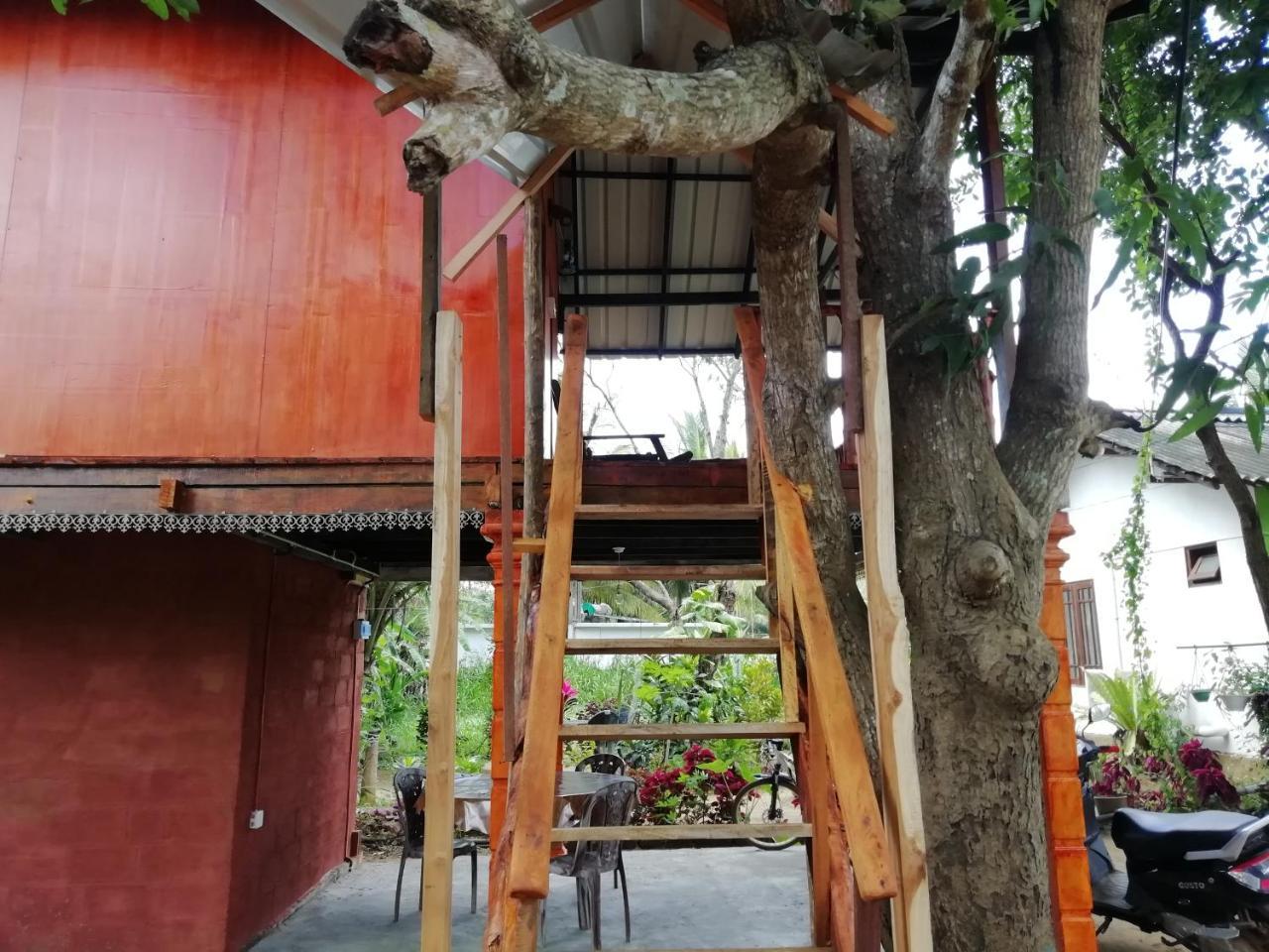 Sigiri Sky Home & Treehouse Szigirija Kültér fotó